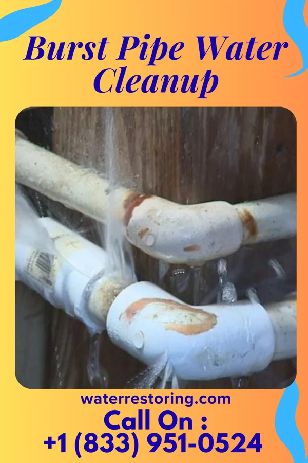 Burst Pipe Water Cleanup in Morristown, MN
