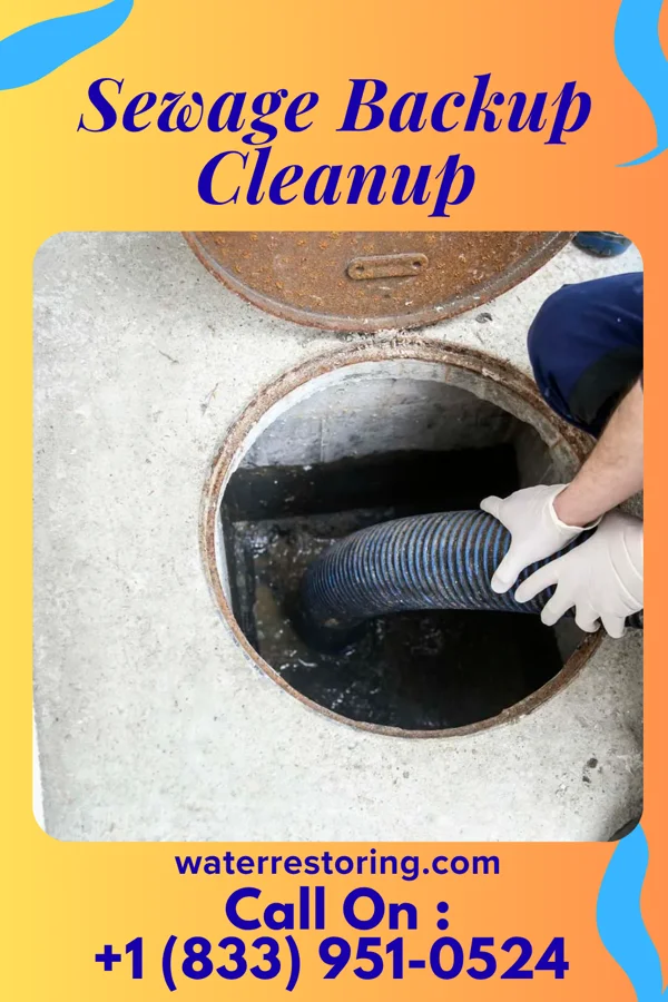 Sewage Backup Cleanup in Morristown, MN
