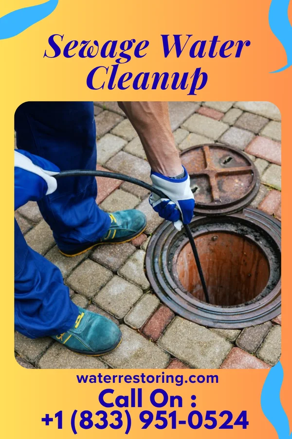 Sewage Water Cleanup in Morristown, MN